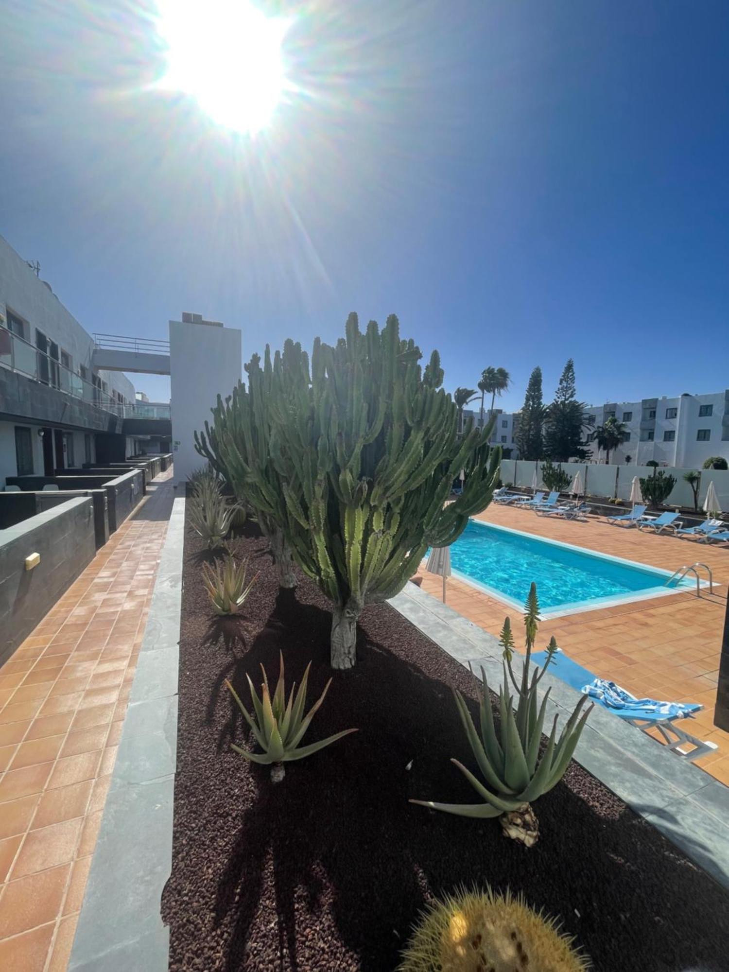 Apartmán Sunrise Corralejo Exteriér fotografie